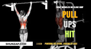Close Grip Pull-Ups: Targeted Muscles and Benefits Explained