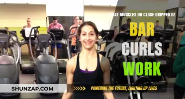 Close Grip EZ Bar Curls: Targeted Muscles and Benefits Explained