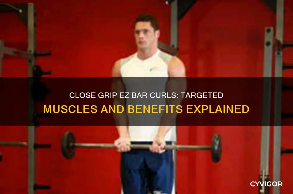 what muscles do close gripped ez bar curls work