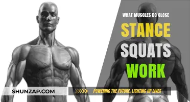 Close Stance Squats: Targeted Muscles and Benefits Explained