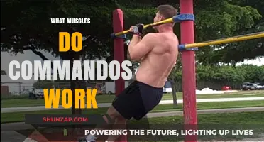Unleash Commando Strength: Muscles Targeted in Elite Training Regimens