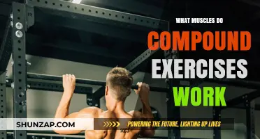 Compound Exercises: Targeting Multiple Muscle Groups for Maximum Strength Gains