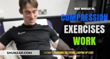 Compression Exercises: Targeted Muscles and Benefits Explained