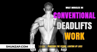 Conventional Deadlifts: Target Muscles and Full-Body Strength Benefits