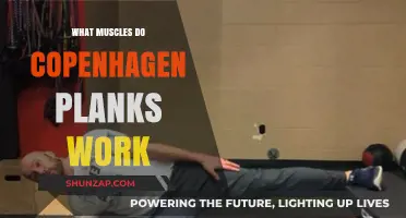 Copenhagen Plank Muscles: Targeted Core and Lower Body Activation Explained