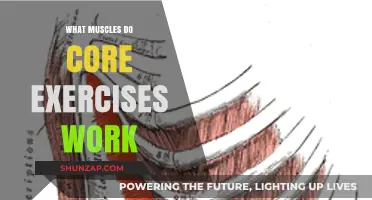 Core Workouts: Unlocking the Muscles for a Stronger, Stable Midsection