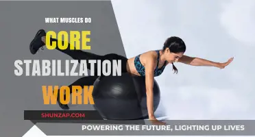 Core Stabilization: Key Muscles for Strength and Balance Explained