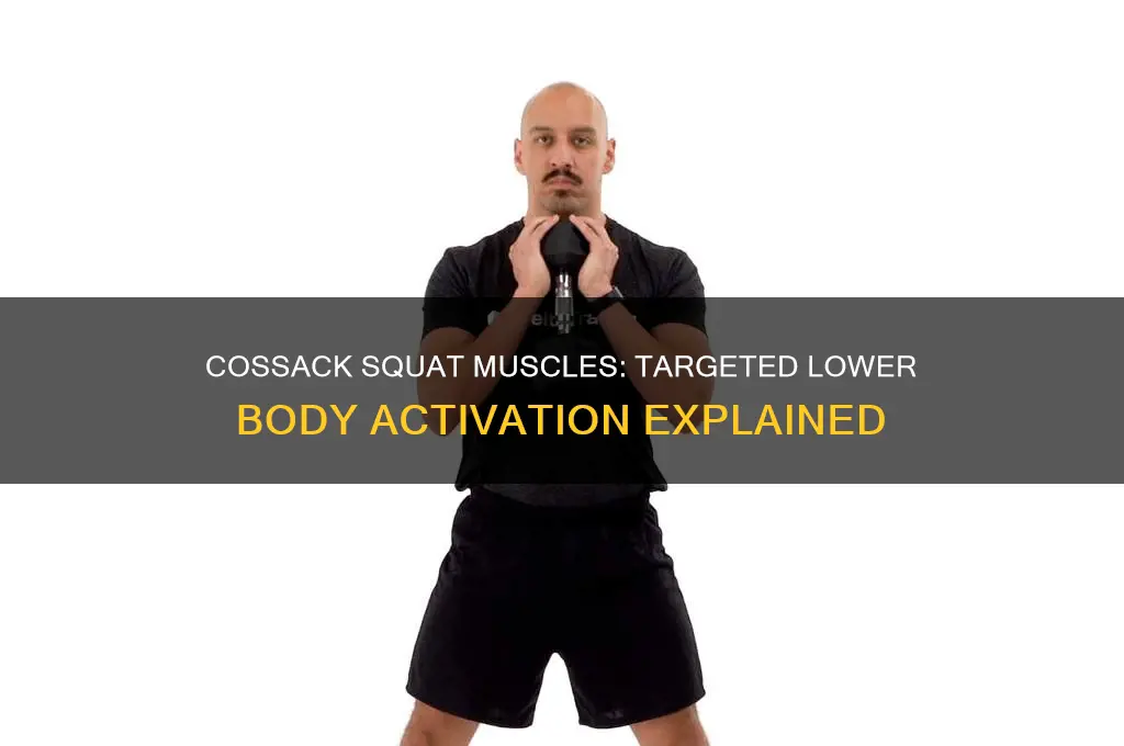what muscles do cossack squat work