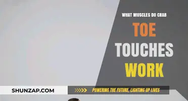 Crab Toe Touches: Targeted Muscles and Benefits Explained