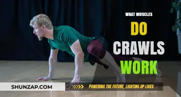 Crawls Workout: Targeted Muscles and Full-Body Benefits Explained