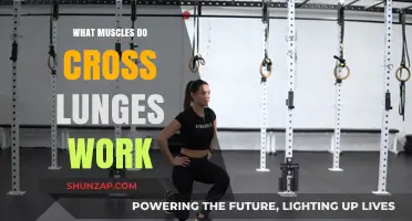 Cross Lunges: Target Muscles and Benefits for Lower Body Strength