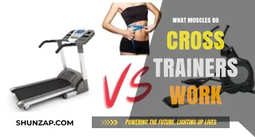Cross Trainers: Target Muscles and Full-Body Benefits Explained