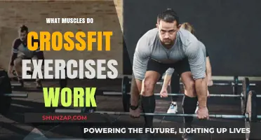 CrossFit Workouts: Target Muscles and Full-Body Benefits Explained