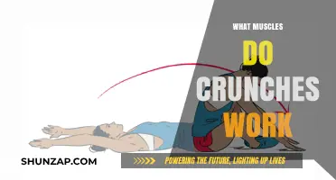Crunches Target Core Muscles: Abs, Obliques, and Lower Back Strength
