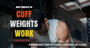 Cuff Weights Workout: Targeting Muscles for Strength and Stability