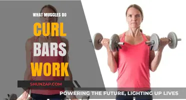 Curl Bars: Target Muscles and Benefits for Strength Training