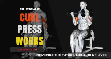 Curl Press Muscles: Targeted Benefits and Effective Workout Techniques
