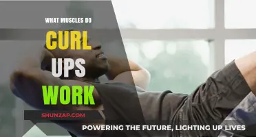 Curl-Ups Unveiled: Targeted Muscles and Core Strengthening Benefits