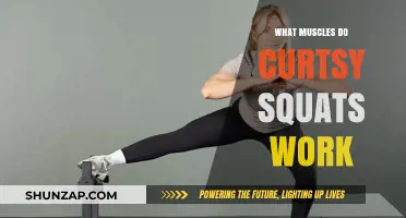 Curtsy Squats: Targeting Glutes, Quads, and Inner Thigh Muscles Effectively