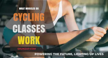 Cycling Classes: Targeted Muscles for Strength and Endurance Boost