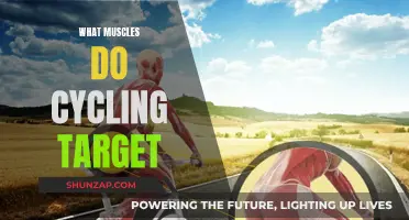 Cycling's Target: Core, Leg Muscles and More