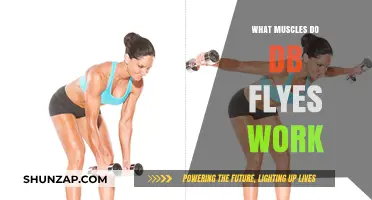 Dumbbell Flyes: Targeting Chest, Shoulders, and Triceps for Strength
