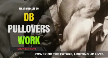 DB Pullovers: Targeted Muscles and Benefits Explained