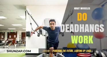 Deadhangs: Unlocking Grip Strength and Targeted Muscle Engagement Explained