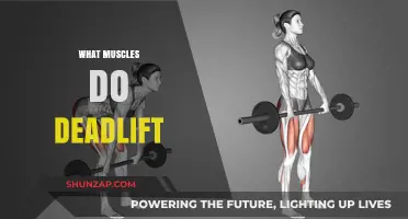 Deadlifts: A Full-Body Workout for Strength