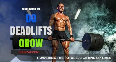 Deadlifts: Unlocking Full-Body Muscle Growth and Strength Potential