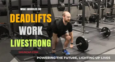 Deadlifts: Unlocking Full-Body Strength and Muscle Engagement Livestrong Guide