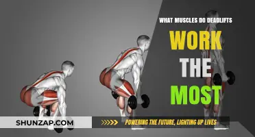 Deadlifts: Unlocking the Primary Muscles for Maximum Strength Gains