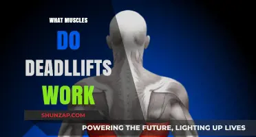 Deadlifts: Unlocking Full-Body Strength and Targeted Muscle Engagement