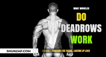 Deadlifts: Target Muscles and Full-Body Strength Benefits Explained