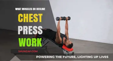 Decline Chest Press: Targeted Muscles and Effective Workout Benefits