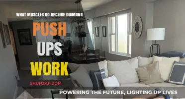 Decline Diamond Push-Ups: Targeted Muscles and Benefits Explained