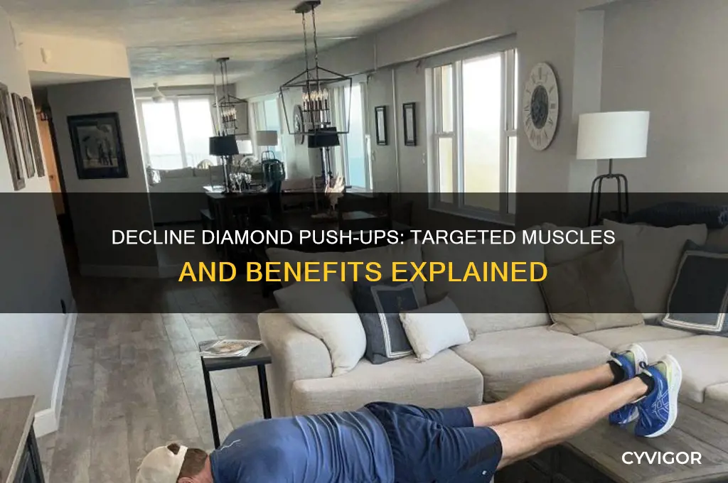 what muscles do decline diamond push ups work