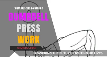 Decline Dumbbell Press: Targeted Muscles and Benefits Explained