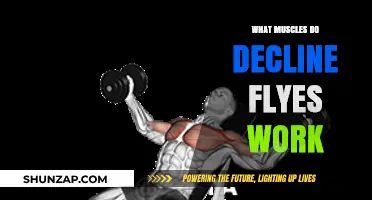 Decline Flyes: Targeted Muscles and Benefits for Chest and Shoulders