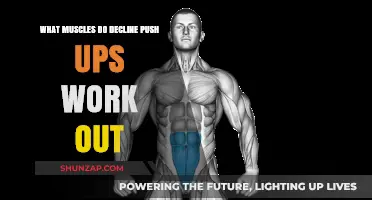Decline Push-Ups: Targeted Muscles and Benefits for Upper Body Strength