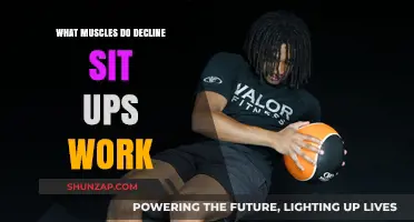 Decline Sit-Ups: Targeted Muscles and Effective Core Workout Benefits