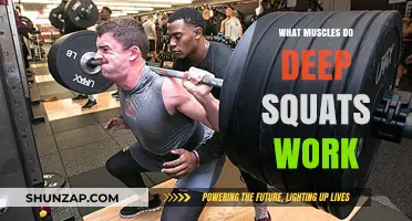 Deep Squats: Targeting Key Muscles for Strength and Stability