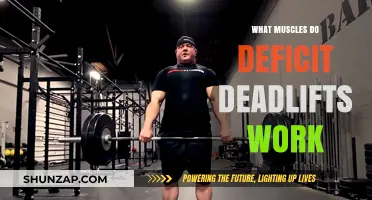 Deficit Deadlifts: Target Muscles and Benefits for Strength Training