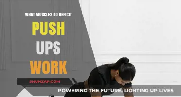 Deficit Push-Ups: Targeted Muscles and Enhanced Upper Body Strength