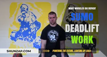 Deficit Sumo Deadlift: Targeted Muscles and Strength Benefits Explained