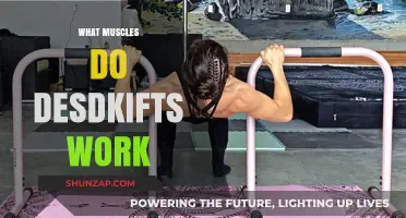 Desk Dips Muscles: Targeted Strength Training for Arms and Core