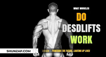 Deadlifts: Target Muscles and Full-Body Strength Benefits Explained