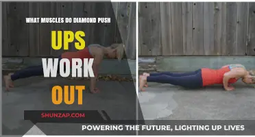 Diamond Push Ups: Targeted Muscles and Benefits Explained