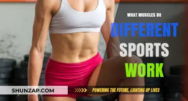 Muscles in Motion: How Sports Target Different Muscle Groups