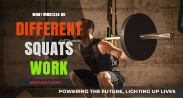Squat Variations: Targeting Muscles for Strength and Toning